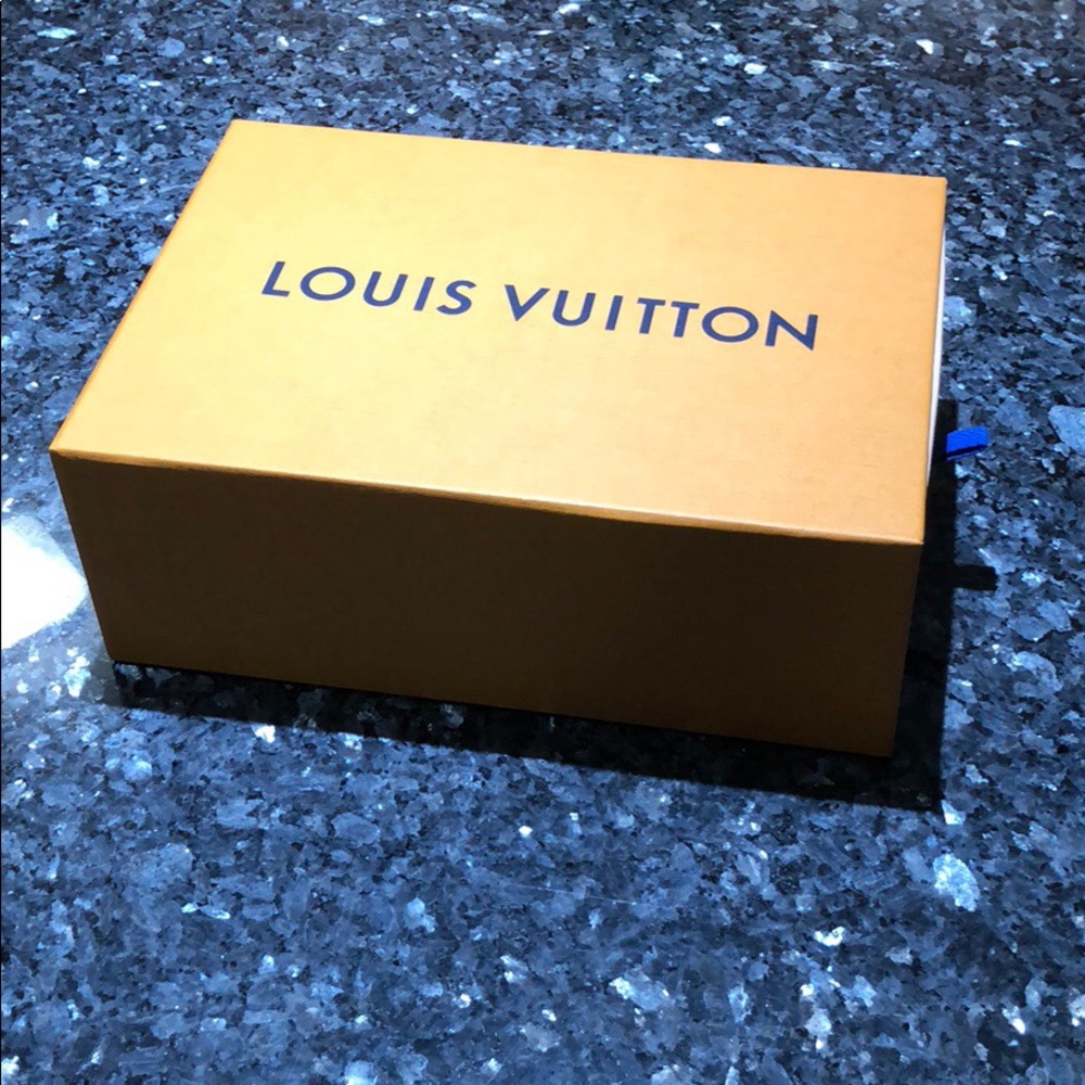 Louis Vuitton shoe box